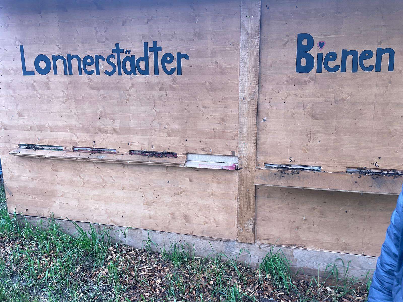 Familien-Wanderung Bienen und Honig, 2. Juni 2024